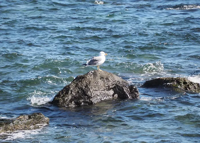 Casa Luz 143, Residencial El Pueblito